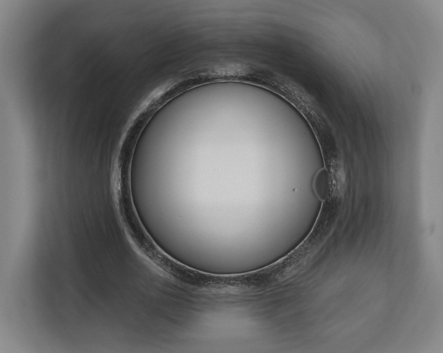 X0000113100726200909041225