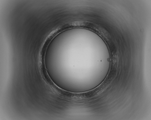 X0000113100727200909041225