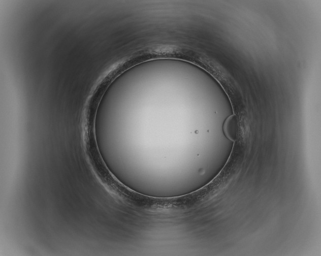 X0000113100728200909041225