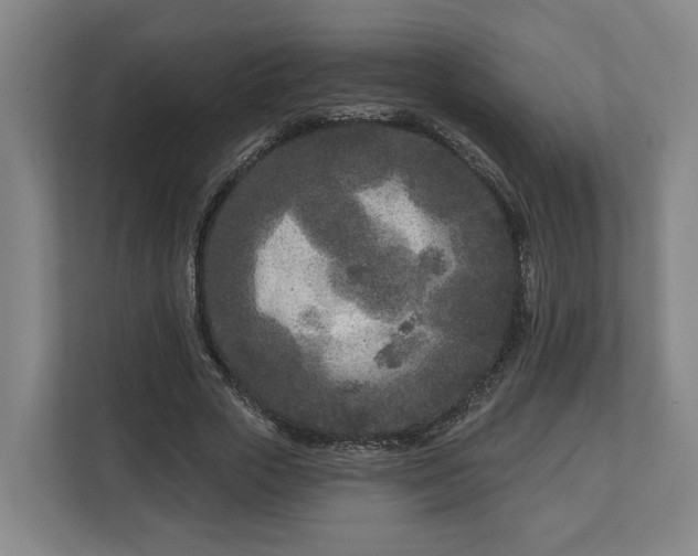 X0000113100729200909041225