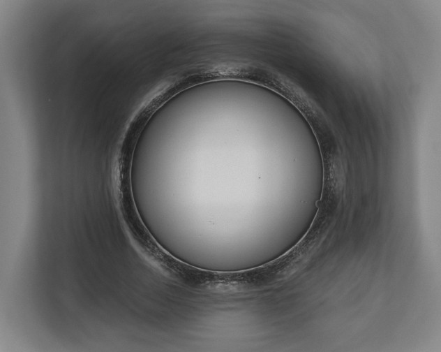 X0000113100730200909041225