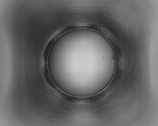 X0000113100731200909041225