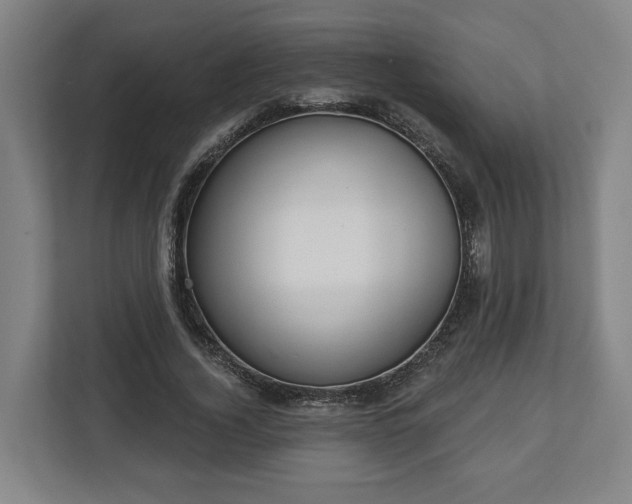 X0000113100732200909041225
