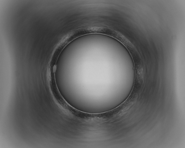X0000113100734200909041225