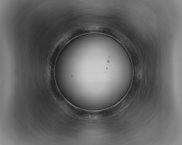 X0000113100735200909041225