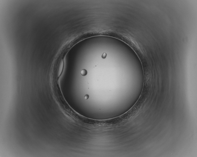 X0000113100736200909041225