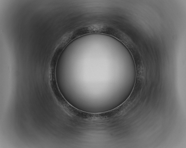 X0000113100738200909041225