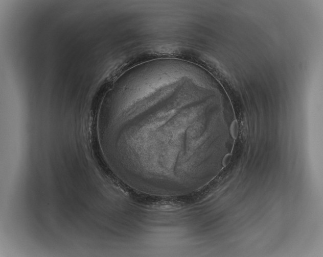 X0000113100739200909041225