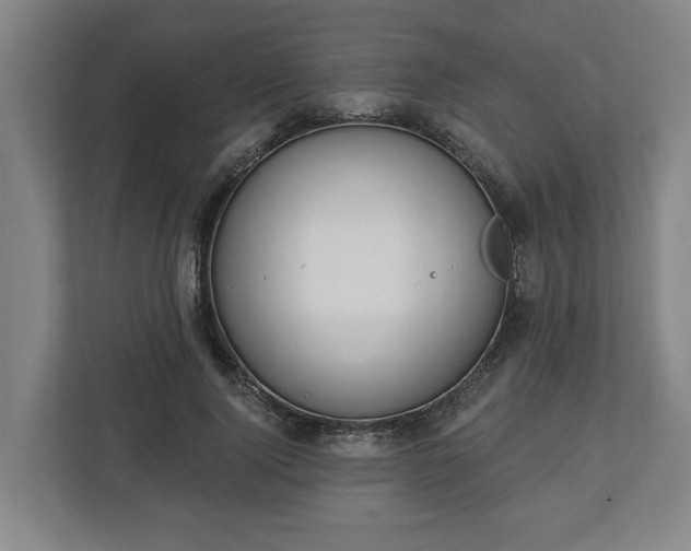 X0000113100740200909041225