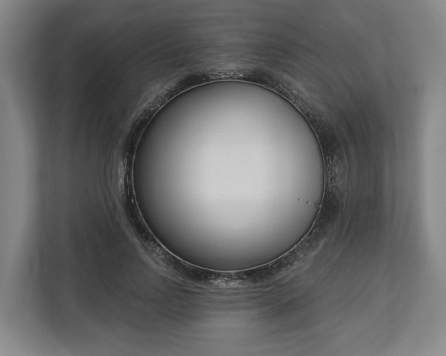 X0000113100742200909041226