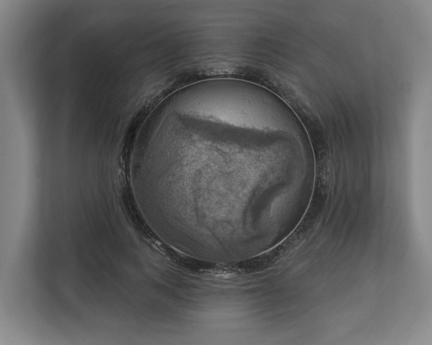 X0000113100743200909041226