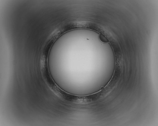 X0000113100744200909041226