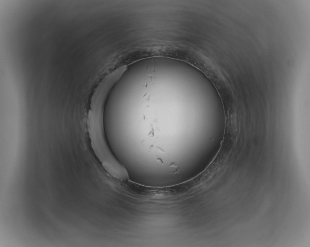 X0000113100750200909041226