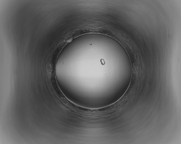 X0000113100752200909041226