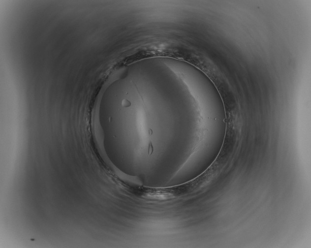 X0000113100754200909041226