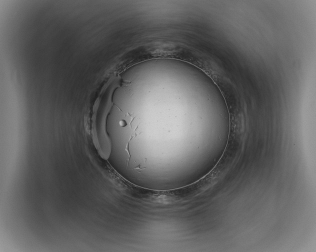 X0000113100755200909041226
