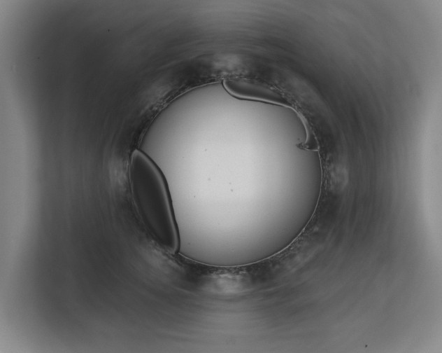 X0000113100756200909041226