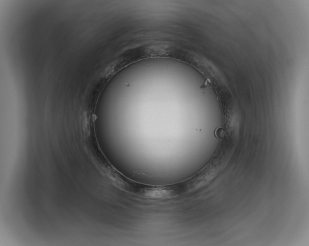 X0000113100759200909041226