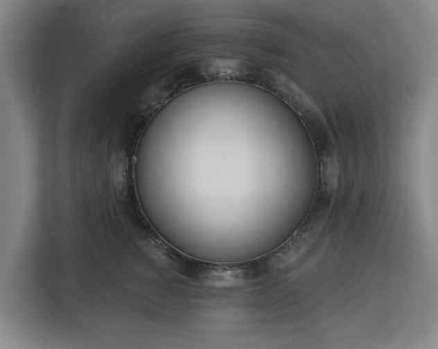 X0000113100760200909041226