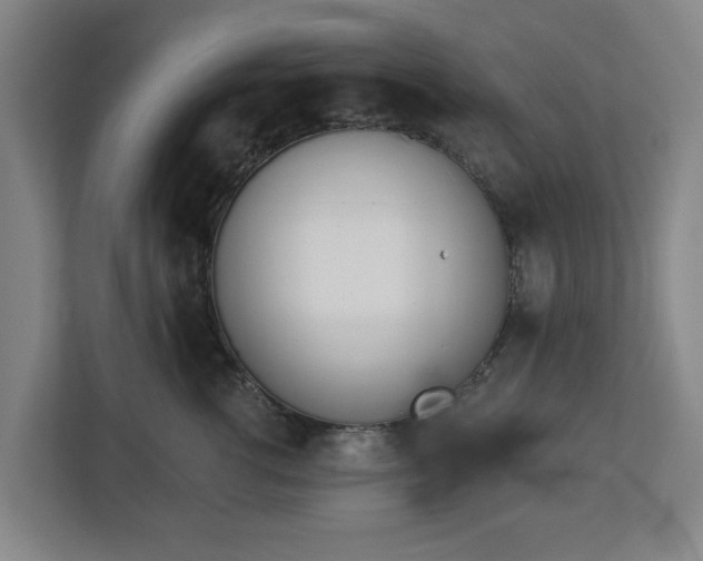 X0000113100762200909041226