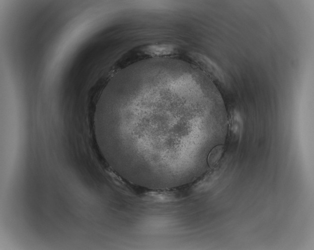 X0000113100763200909041226