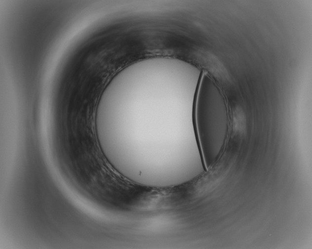 X0000113100764200909041226