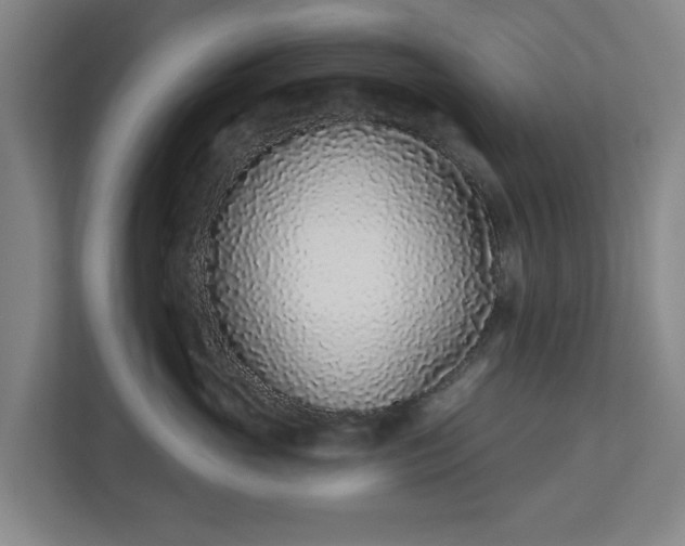 X0000113100765200909041226