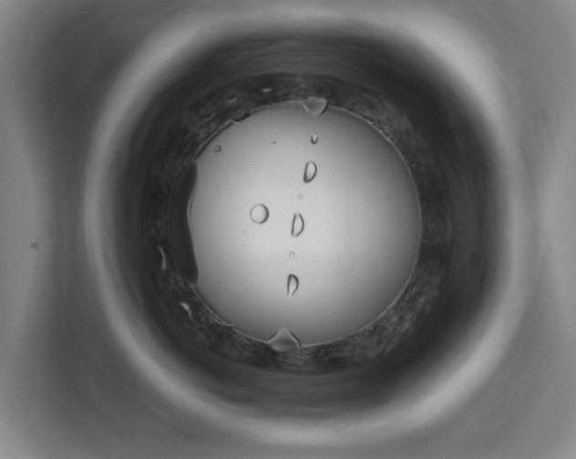X0000113100766200909041226