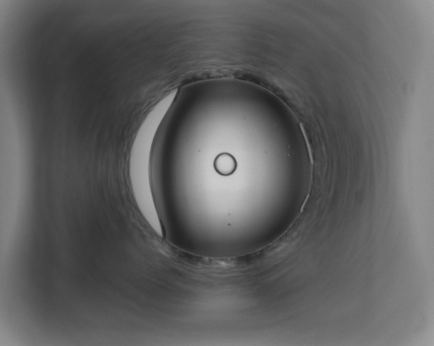 X0000113100768200909041226