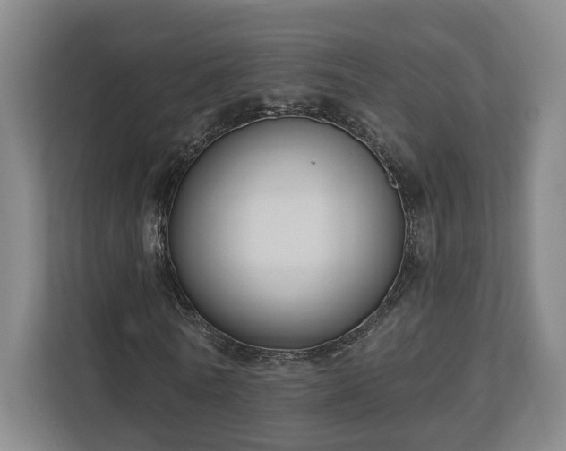 X0000113100770200909041225