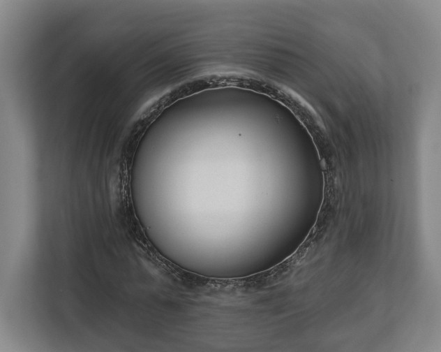 X0000113100775200909041225