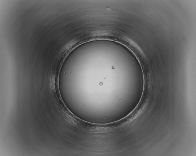 X0000113100777200909041225