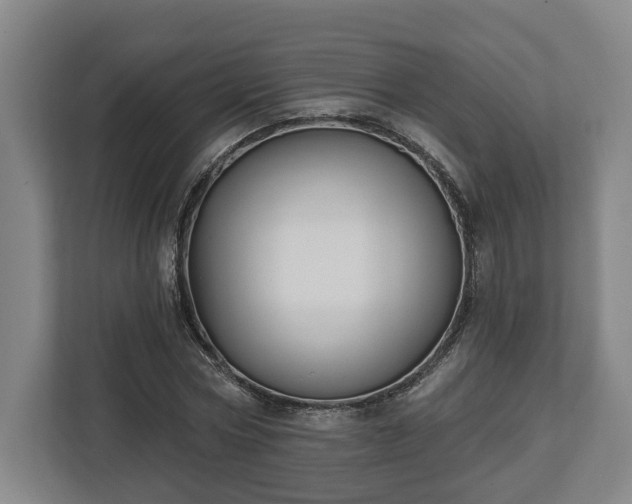 X0000113100778200909041225