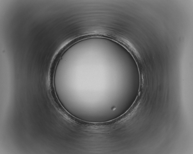 X0000113100780200909041225