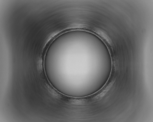 X0000113100781200909041225