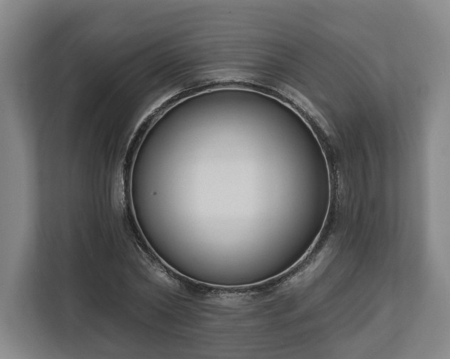 X0000113100782200909041225