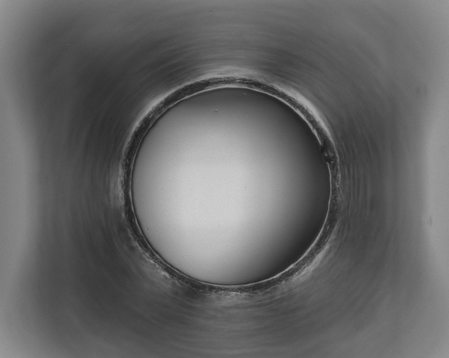 X0000113100783200909041225