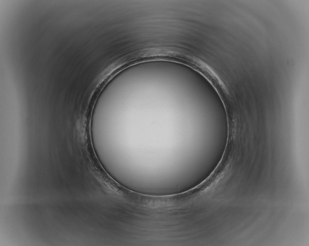 X0000113100786200909041225