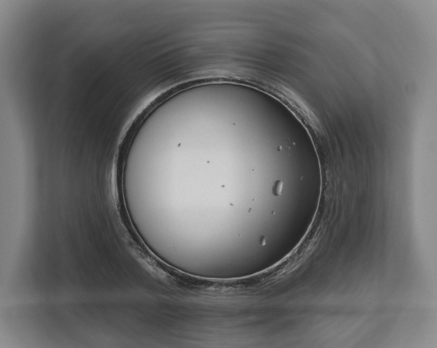 X0000113100788200909041225