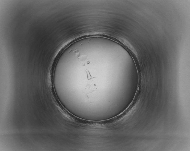X0000113100789200909041225
