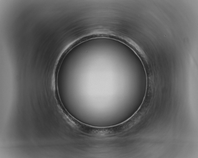 X0000113100791200909041225
