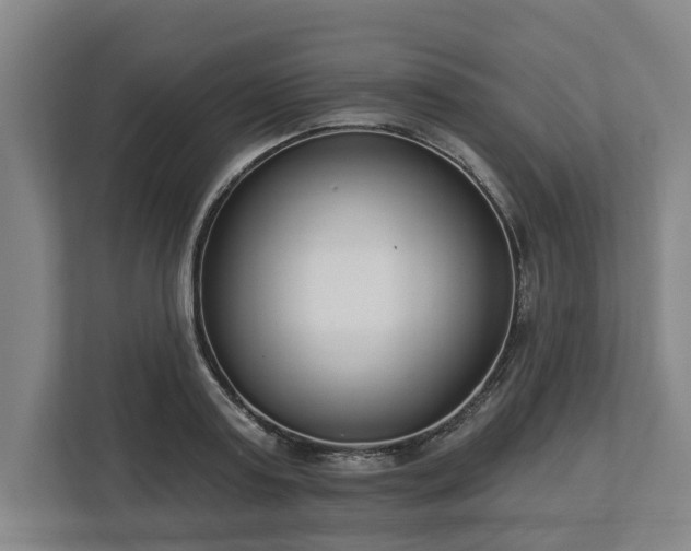 X0000113100795200909041225
