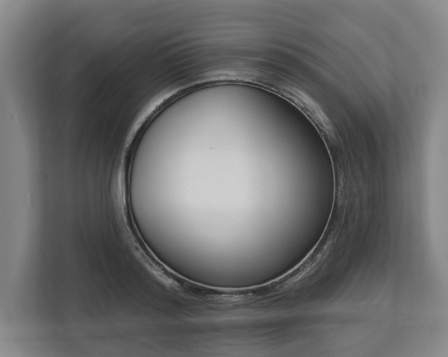 X0000113100796200909041225