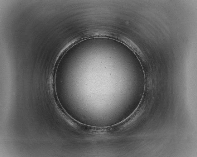 X0000113100798200909041225