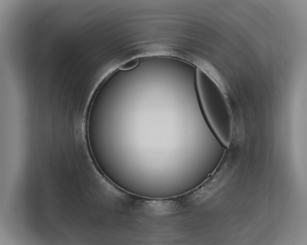 X0000113100805200909041225