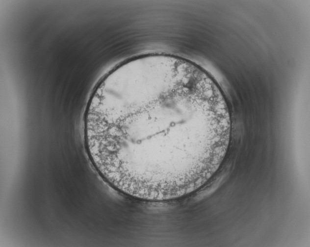 X0000113100807200909041225