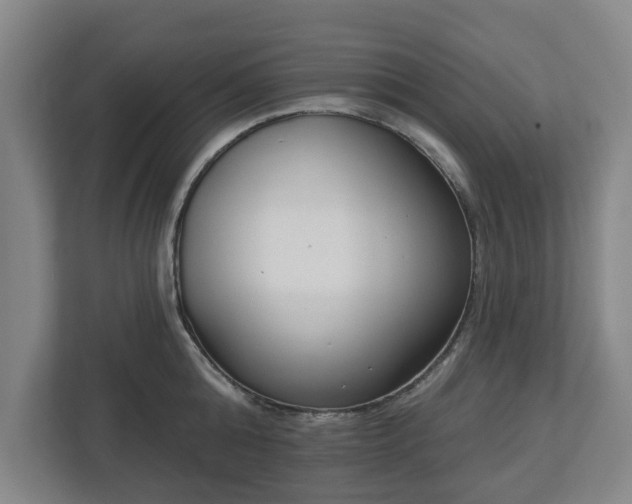 X0000113100808200909041225