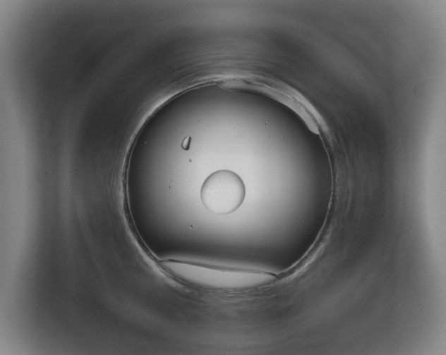 X0000113100810200909041225