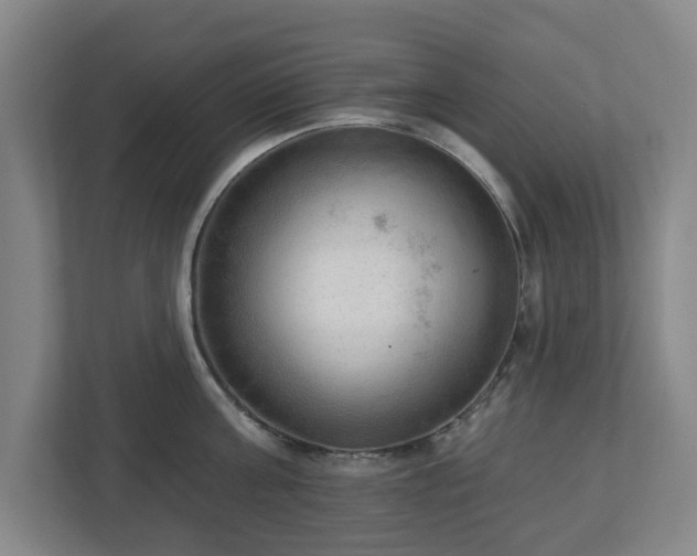 X0000113100811200909041225