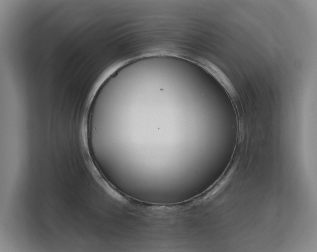 X0000113100812200909041225